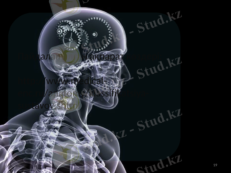 Slide 19