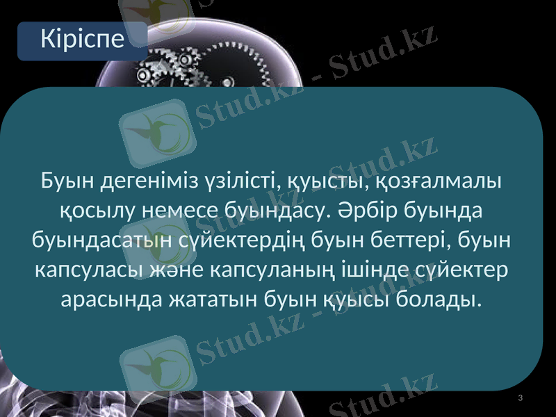 Slide 3