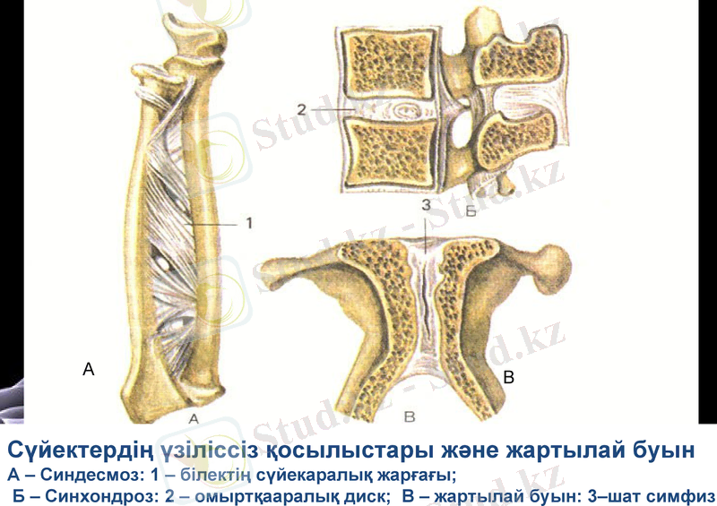 Slide 9