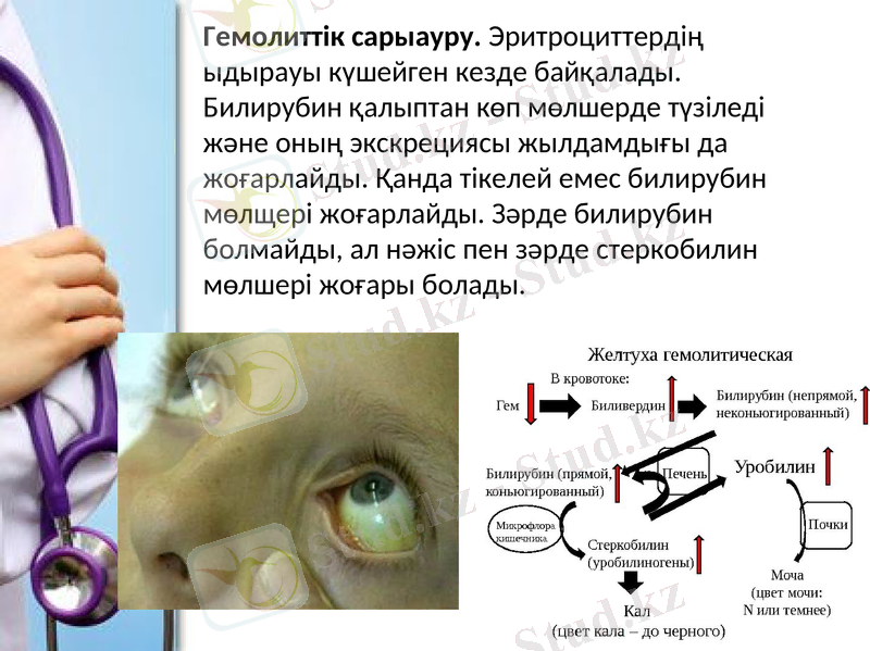 Slide 12