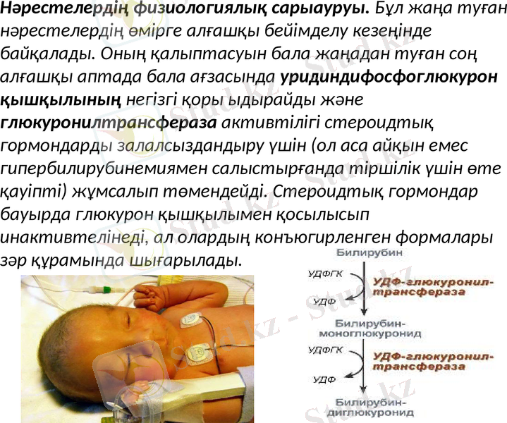 Slide 16