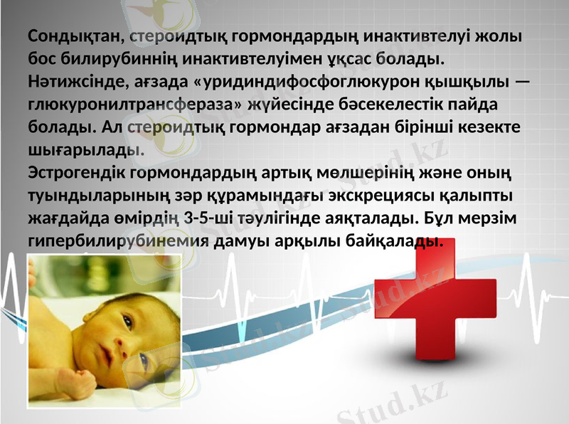 Slide 17