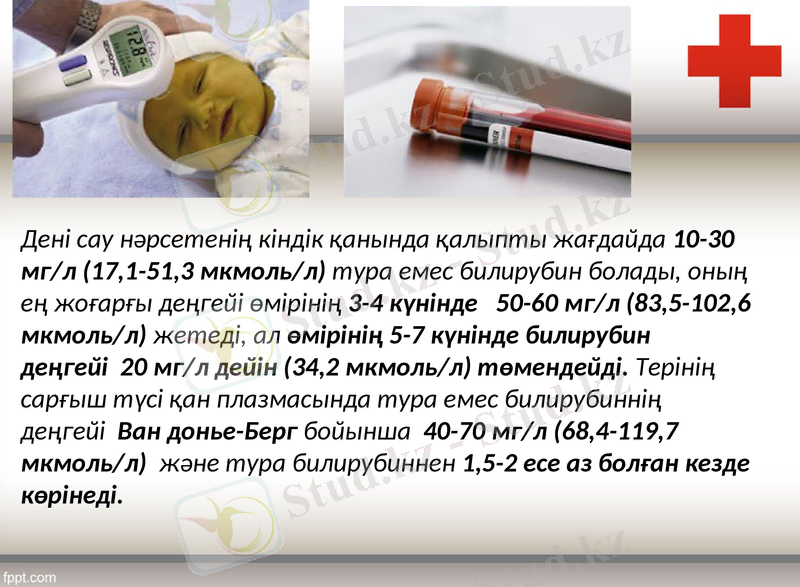 Slide 8