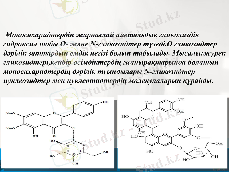 Slide 10