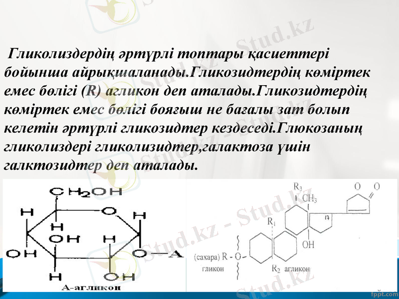 Slide 11