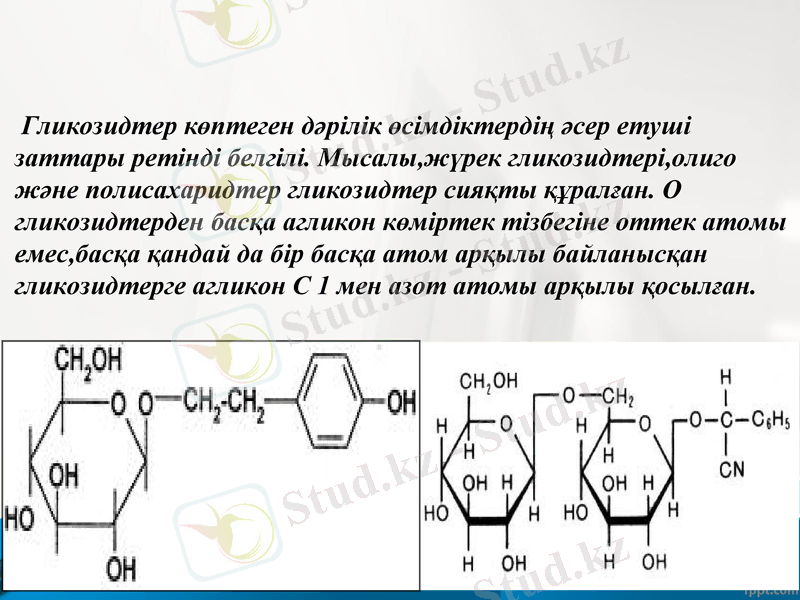 Slide 12