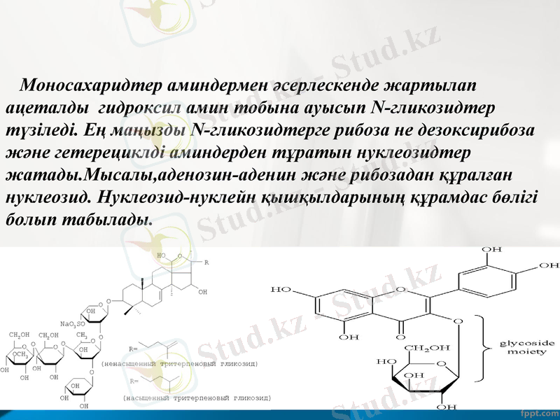 Slide 13