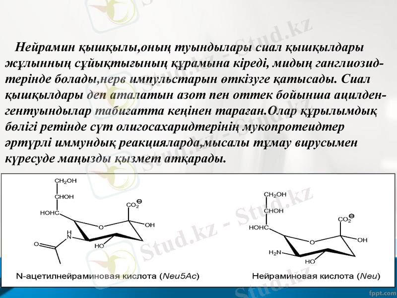 Slide 15