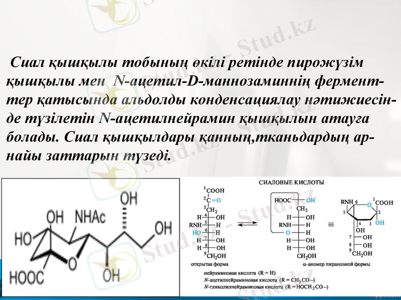 Slide 16