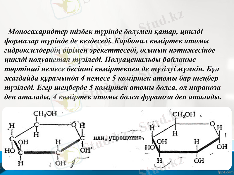 Slide 7