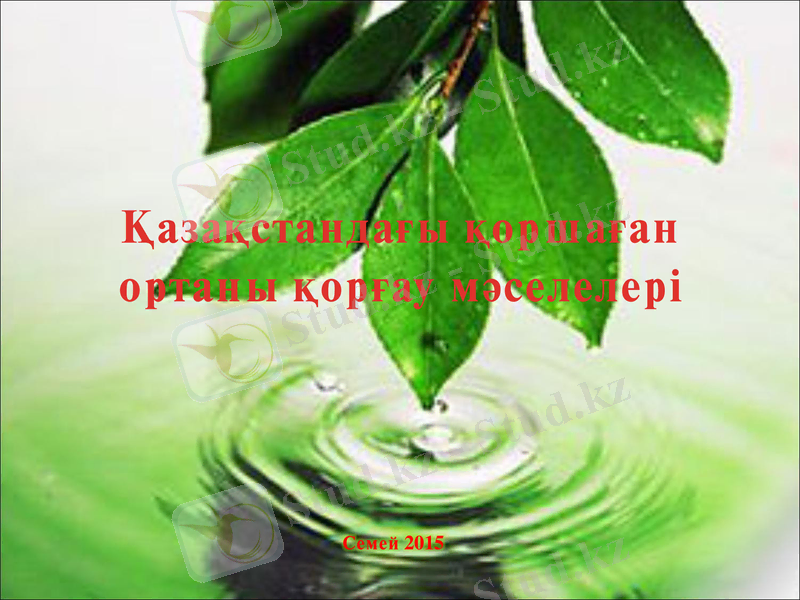 Slide 1