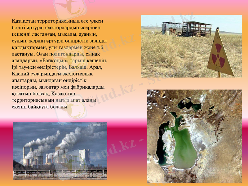 Slide 10