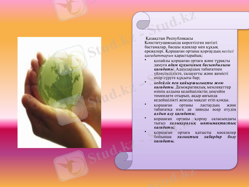 Slide 12