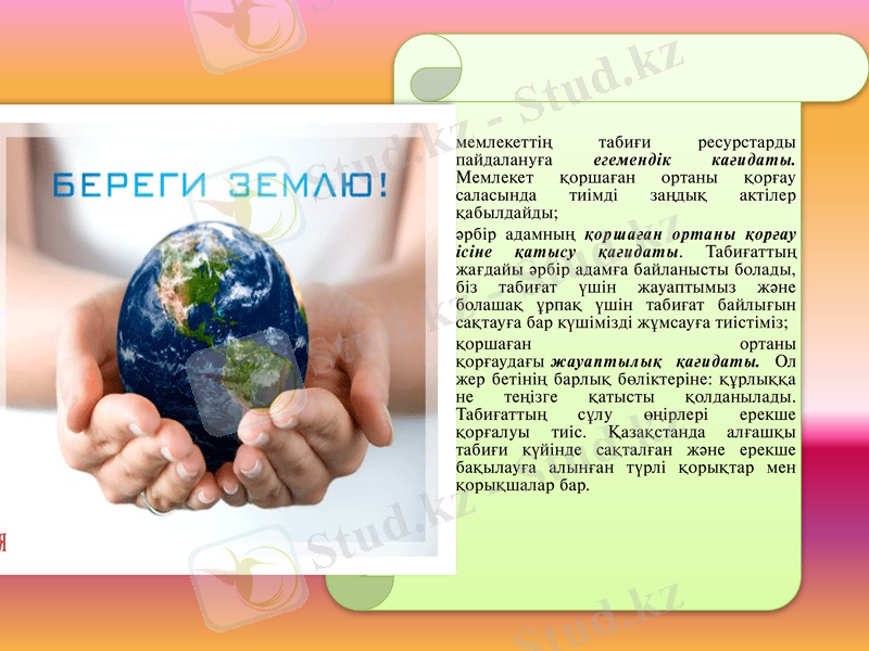 Slide 13