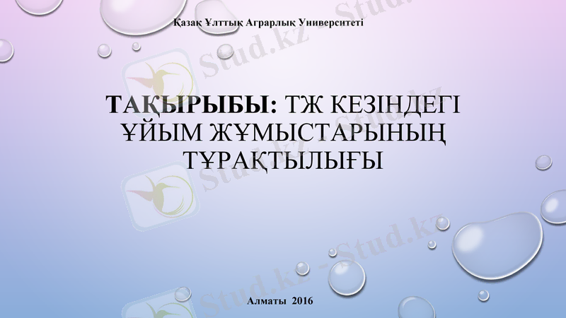 Slide 1