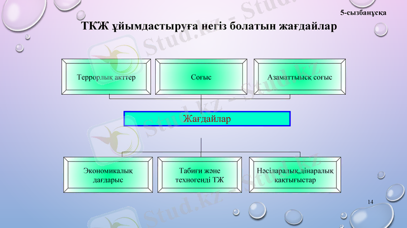 Slide 14