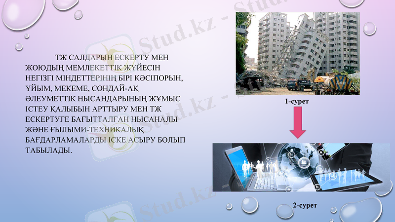 Slide 6
