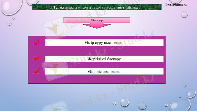 Slide 7