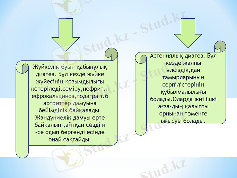 Slide 11