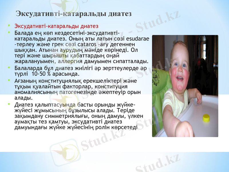 Slide 12