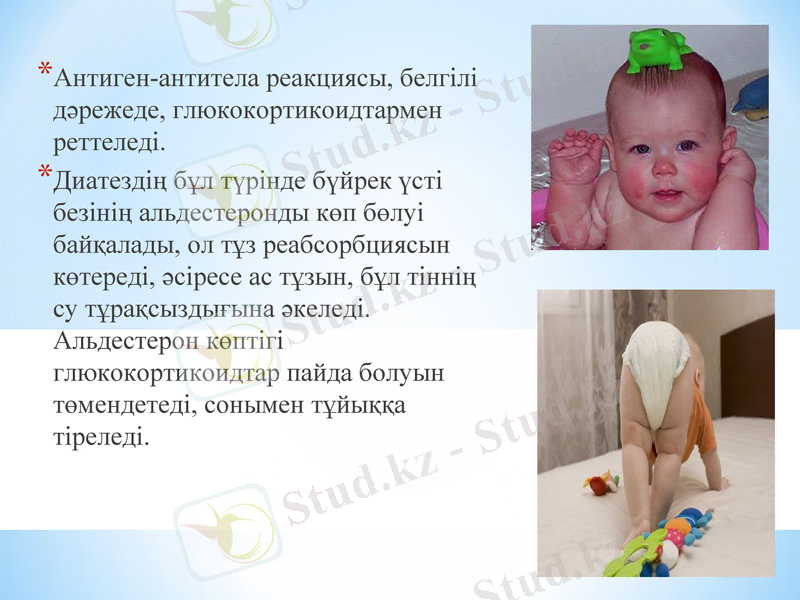 Slide 17