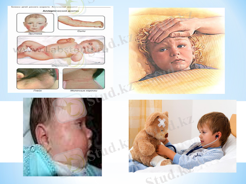 Slide 8