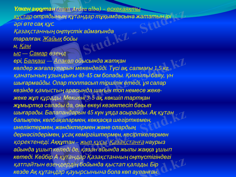 Slide 10