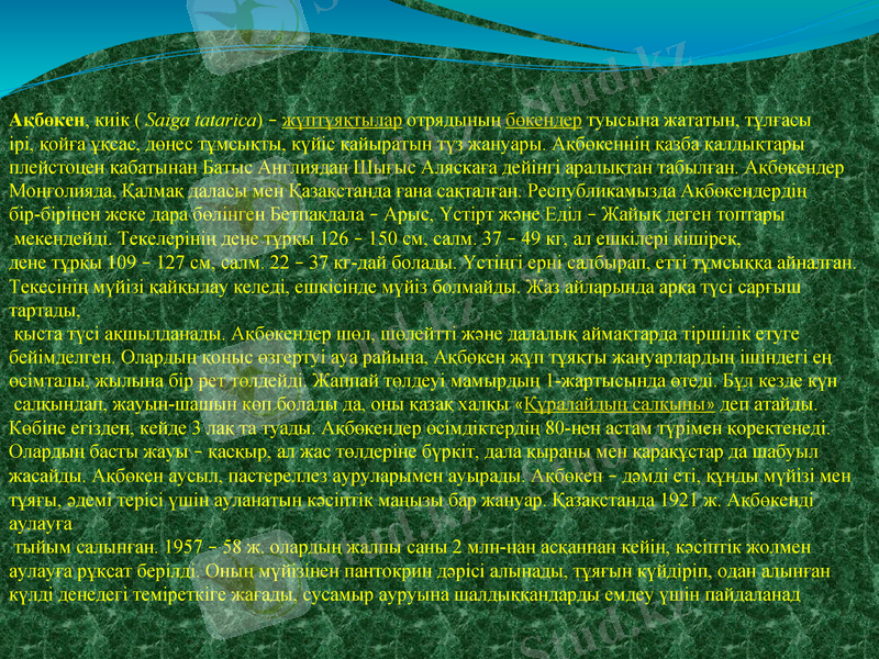 Slide 6