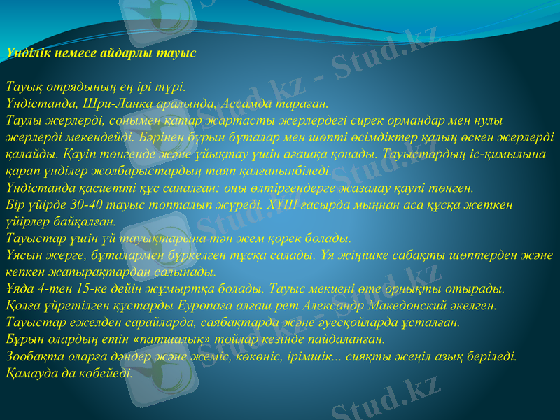 Slide 8