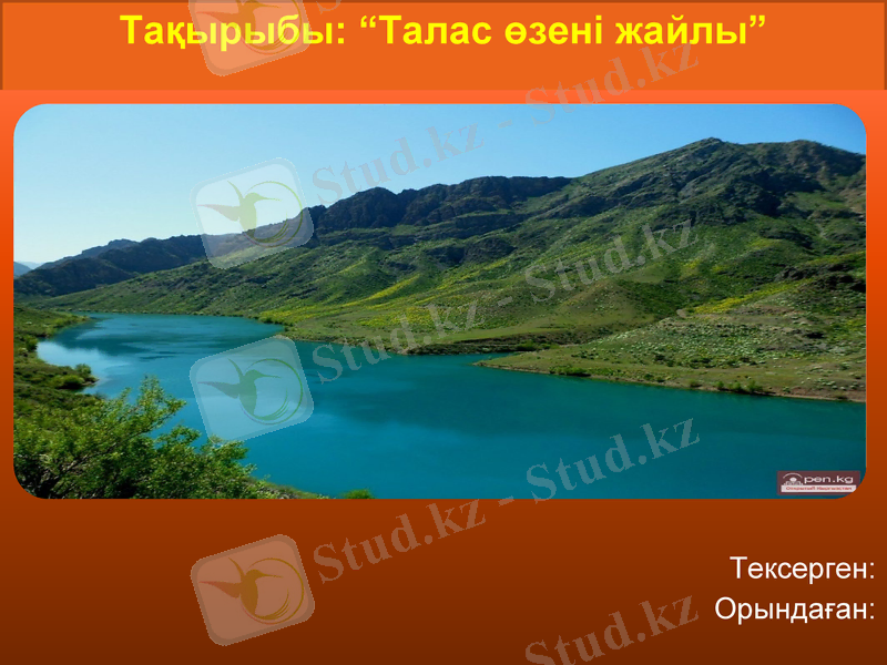 Slide 1