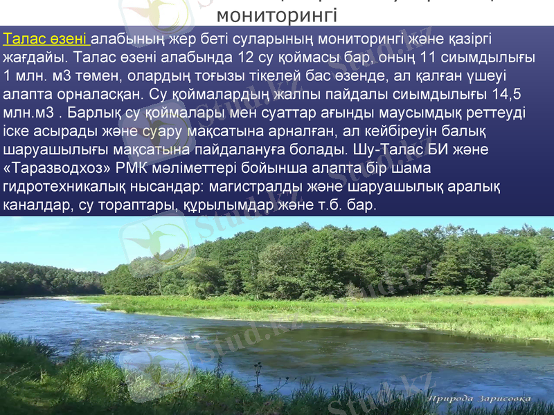 Slide 12