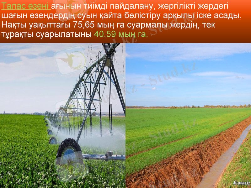 Slide 16