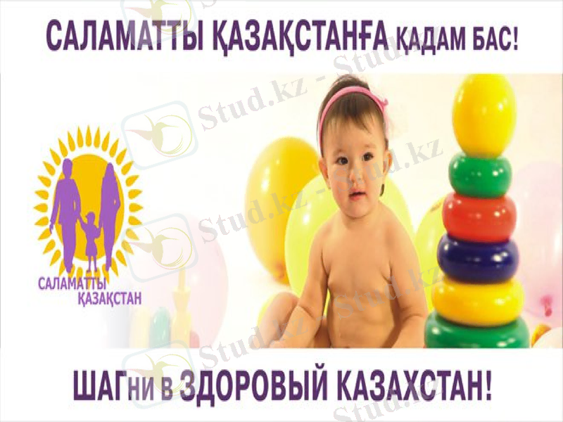 Slide 6