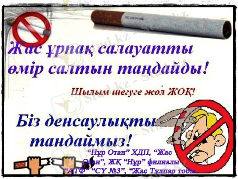 Slide 7
