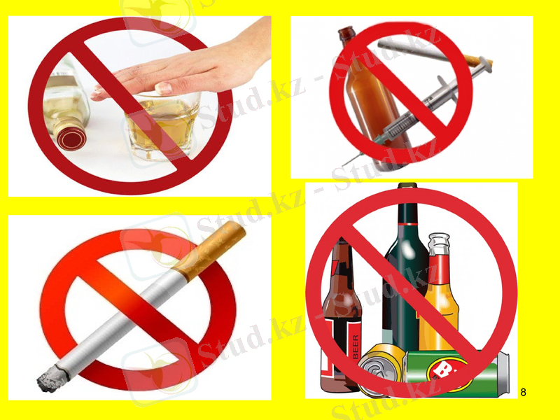 Slide 8