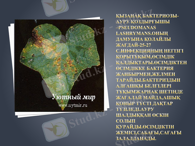Slide 10