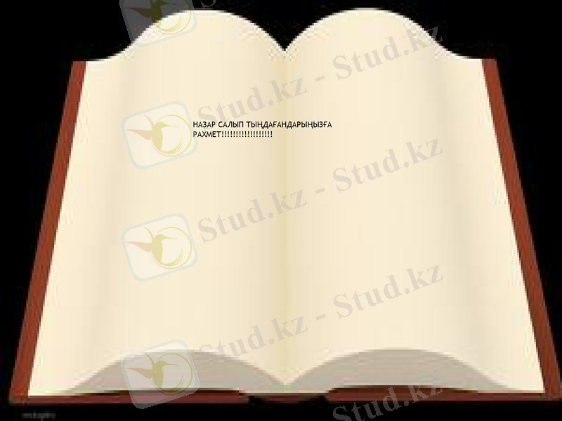 Slide 11