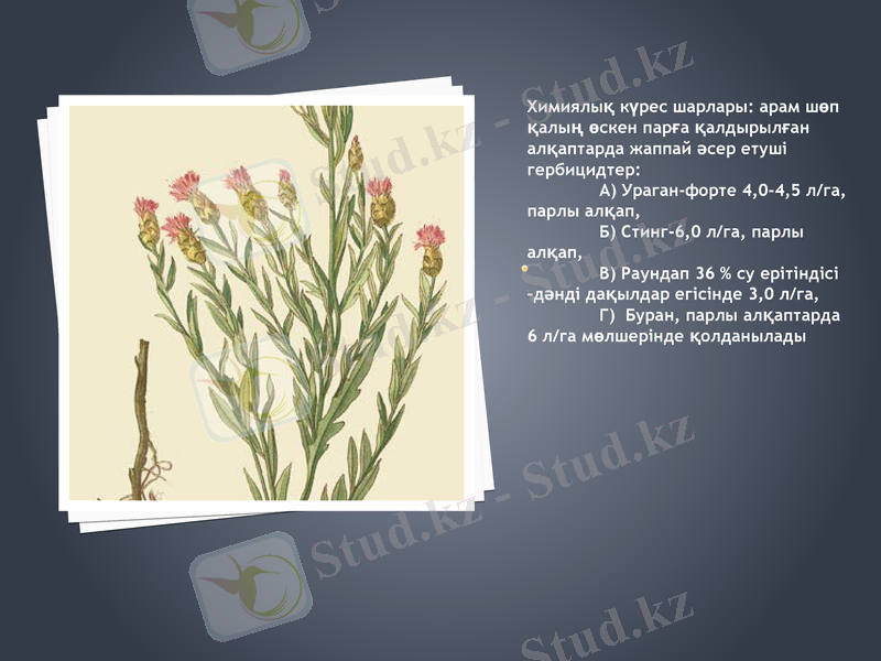 Slide 5