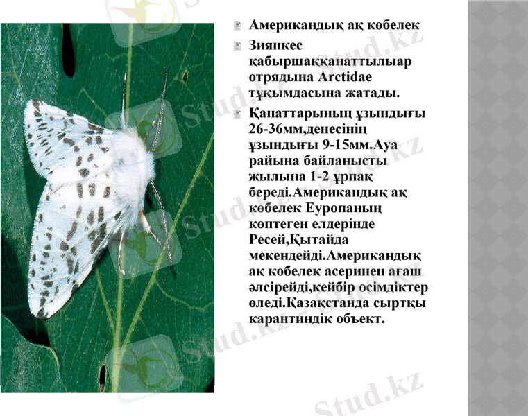 Slide 6