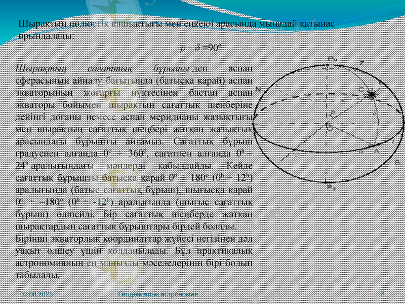 Slide 8