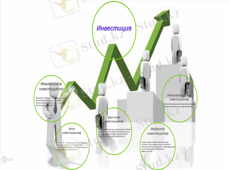 Slide 11