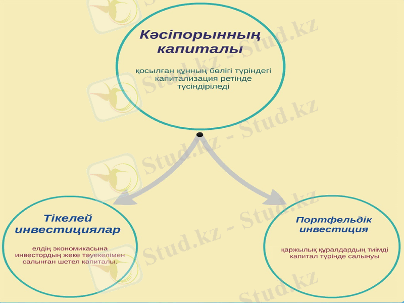 Slide 13