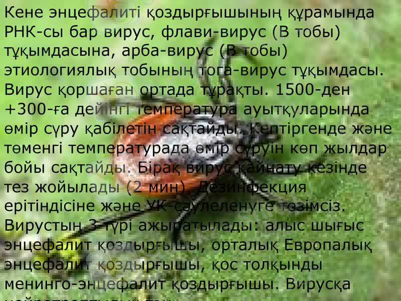 Slide 6