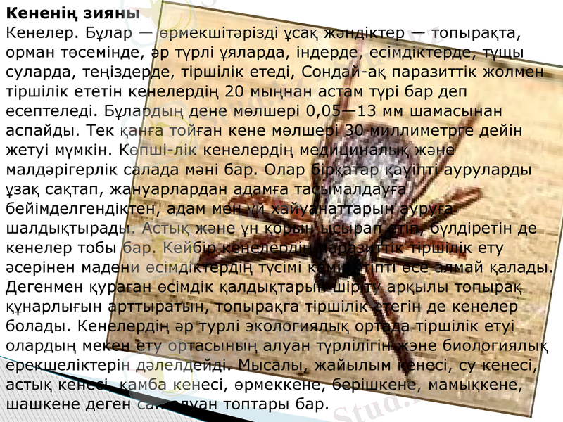 Slide 7