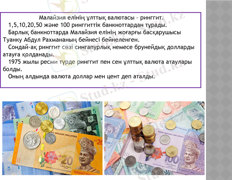 Slide 10