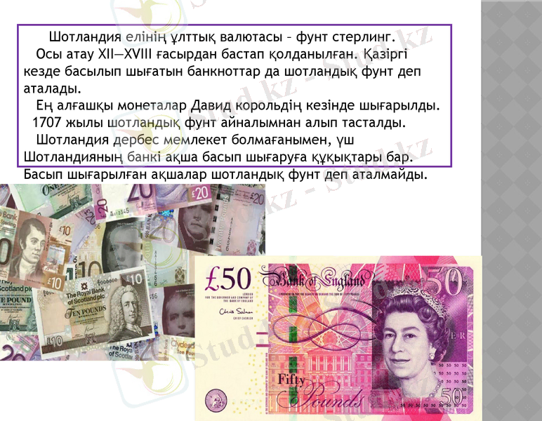 Slide 11