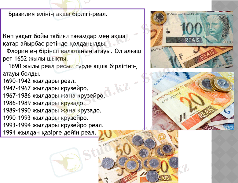 Slide 7