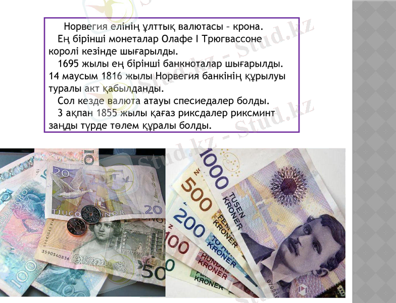 Slide 9
