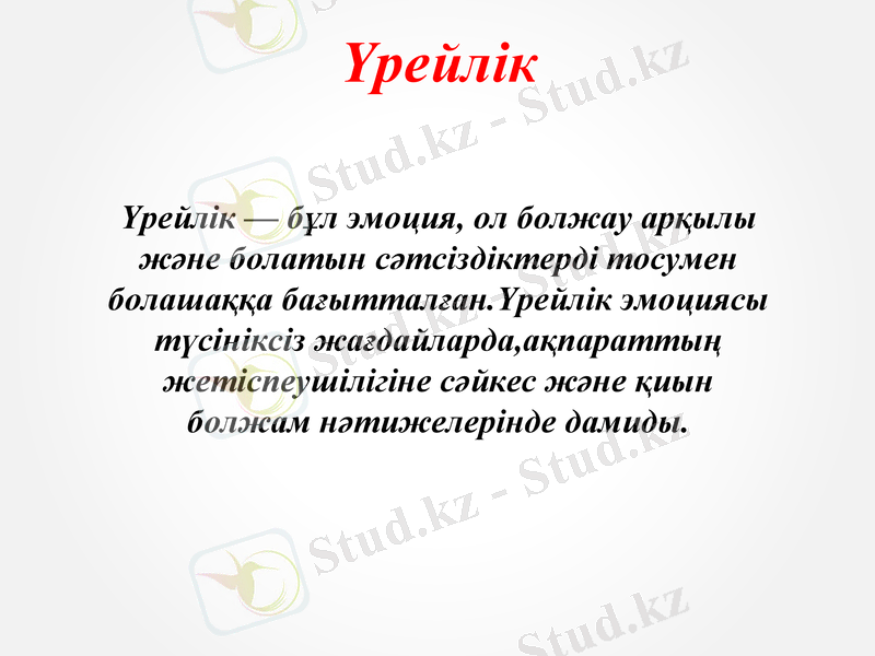Slide 5