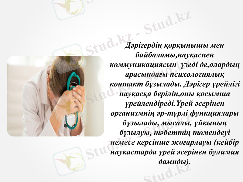 Slide 8